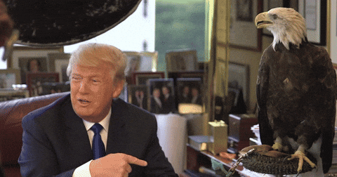 reaction to trump's wildlife policies